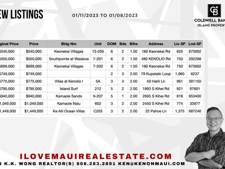 Maui Real Estate 2023