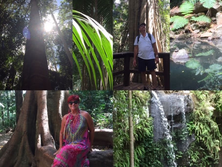 Gold Coast Hinterland.