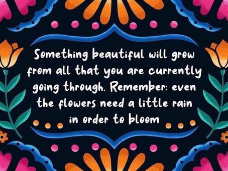 Keep Watering Your Seeds