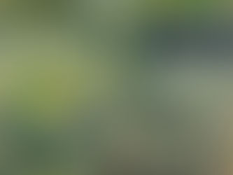 8 Places to See Renoir’s Work in 2026