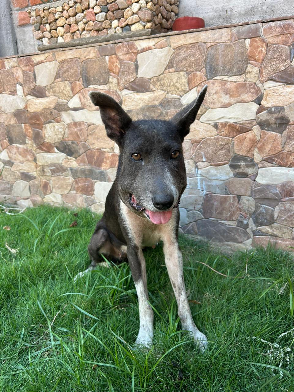 Aria sonriendo 2.jpeg