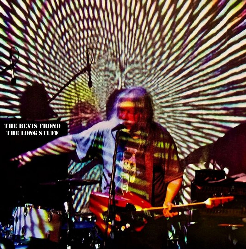 The Bevis Frond - The Long Stuff CD06