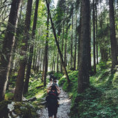 The Pivotal Role of Recreational Therapy in Wellness and Recovery