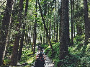 The Pivotal Role of Recreational Therapy in Wellness and Recovery