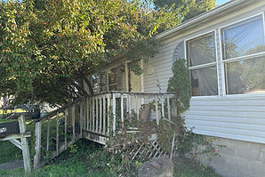 254 Harding Ave - Before Picture (1).JPEG