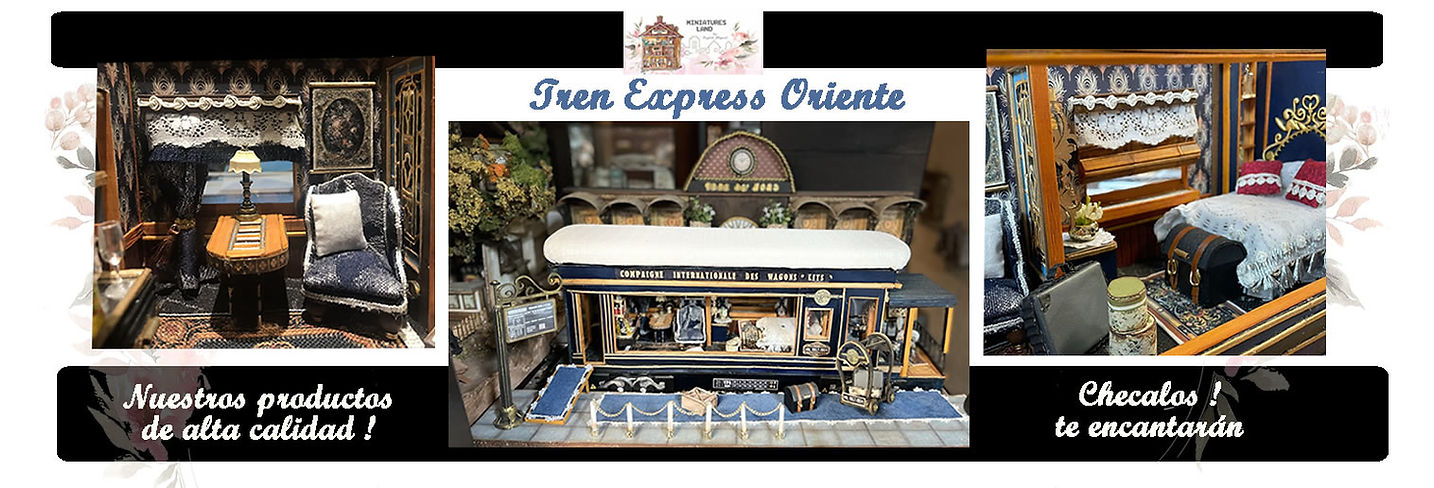 1-1-BANNER 1-3- PROYECTOS TREN EXPRESS ORIENTE - BANNER 3.jpg