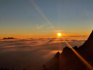 Why Backpackers Prefer Staying at Monkey Tribe