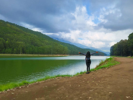 Echo Point, Munnar: A Natural Symphony