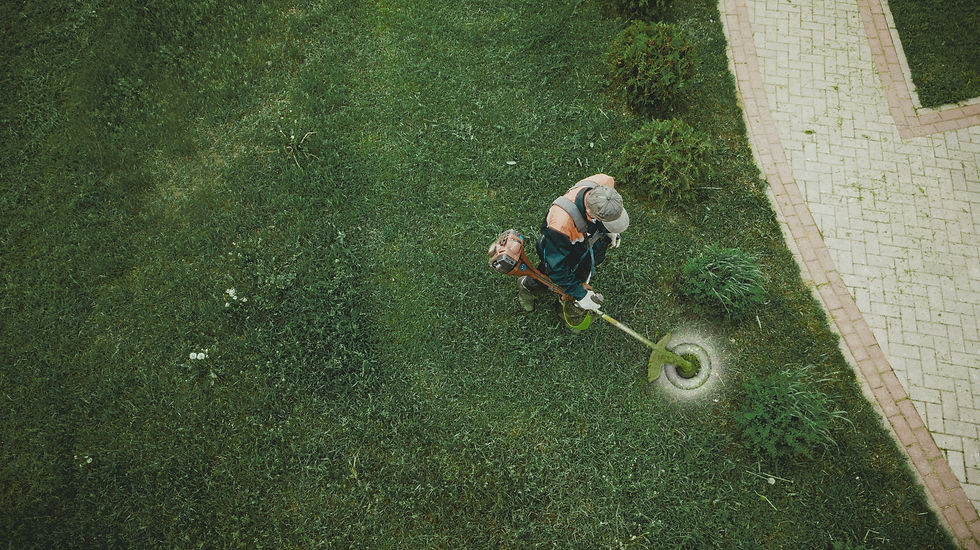 Lawnmower_edited.jpg