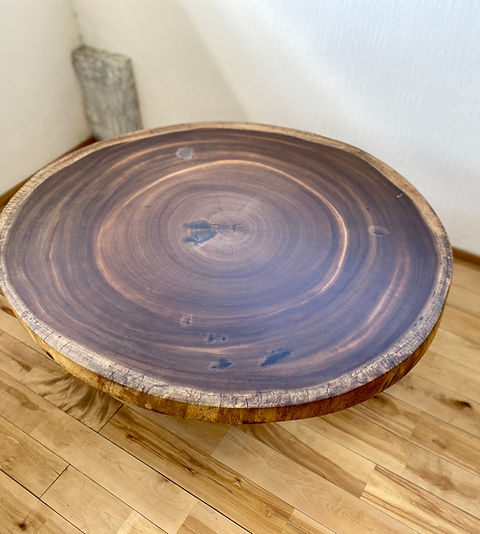 モンキーポッド輪切り | KIYASC公式ホームページ