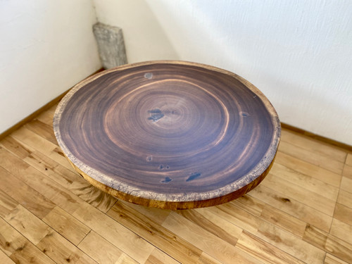 モンキーポッド輪切り | KIYASC公式ホームページ