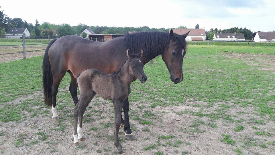 Jiny et sa maman