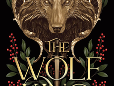 The Wolf King: A Fantasy Romance — Full Review (2026)