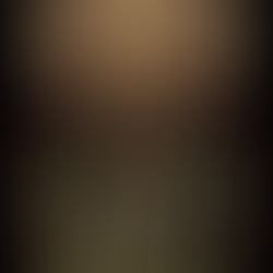 The Wolf King: A Fantasy Romance — Full Review (2026)