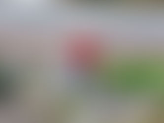 What to Wear Rock Climbing: Outdoor Climbing Gear for Beginners & Abseiling Clothing Guide