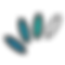 6.png