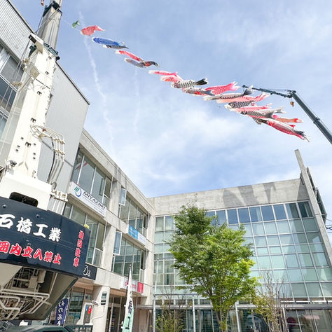 3年目！クレーン車コラボ鯉のぼり🎏