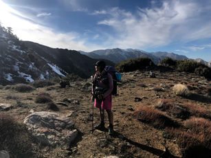 I Climbed the San Jacinto Mountain (almost)
