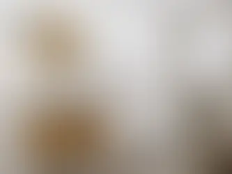 Toilet Types Explained: What Homeowners Should Know