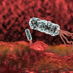 L’agence SCIENCE PRESSE aveuglée par sa religion évolutionniste