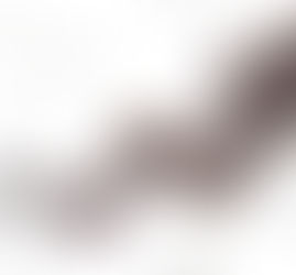 Explosions démographiques – une preuve pour une Terre jeune