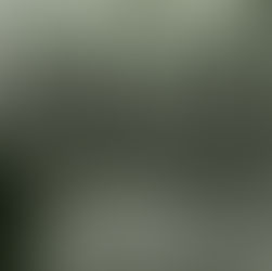 Darwin est-il dangereux ?