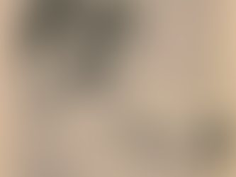 The Memorable Snuffy Stirnweiss