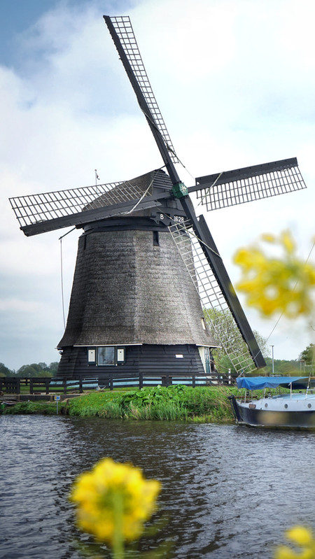 The Old Mill