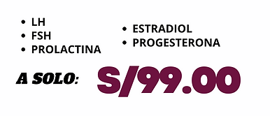 Copia de PERFIL - 2025-04-16T174912.929.png