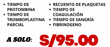Copia de PERFIL - 2025-04-16T174024.954.png