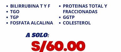 Copia de PERFIL - 2025-04-16T173700.044.png