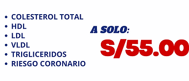 Copia de PERFIL - 2025-04-16T172534.403.png