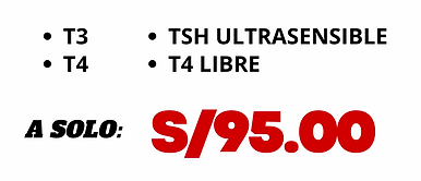 Copia de PERFIL - 2025-04-16T174252.821.png