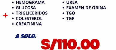 Copia de PERFIL - 2025-04-16T171537.141.png
