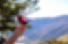 Wine Swish.jpg