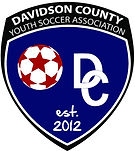 DCYSA_Logo_v1(300).jpg