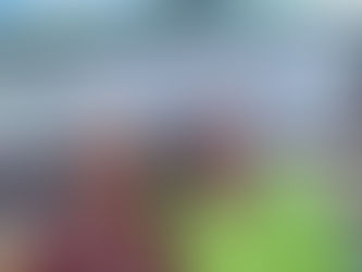 Feed Your Greens Microgreens: Todd Peterson