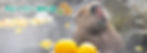 伊豆ジャボテン動物公園