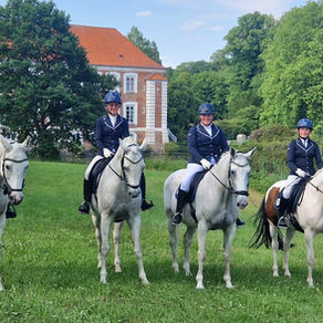 Gelungene Neuauflage des Güldensteiner Schlossparkturniers