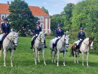 Gelungene Neuauflage des Güldensteiner Schlossparkturniers