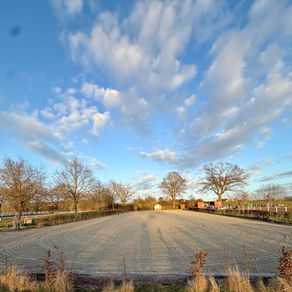 Neues vom Bredenfeldplatz