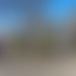 Regelmässiges Abteilungsreiten zeigt Erfolg - zwei Abteilungen starten in Lübeck Wulfsdorf