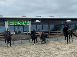 "Schreckenstraining" auf der Fehmaraner Reitanlage.