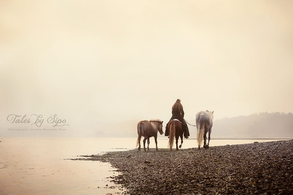 Photo_ Tales by Sipo