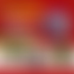 MonEcho arrive premier sur la ligne d'arrivée du Challenge vélo Interentreprises