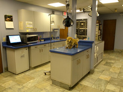Treatment Room
