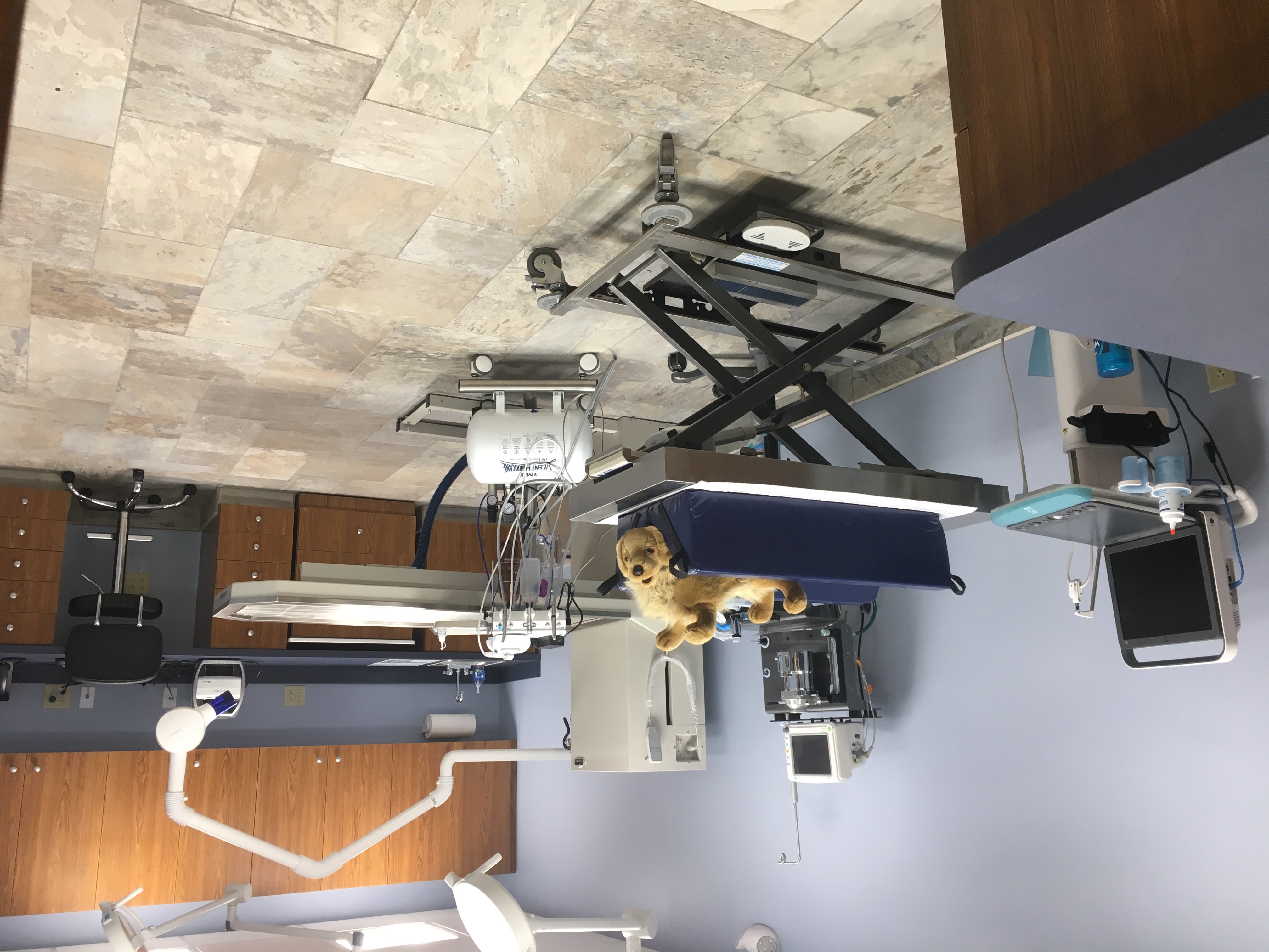 Procedure Room