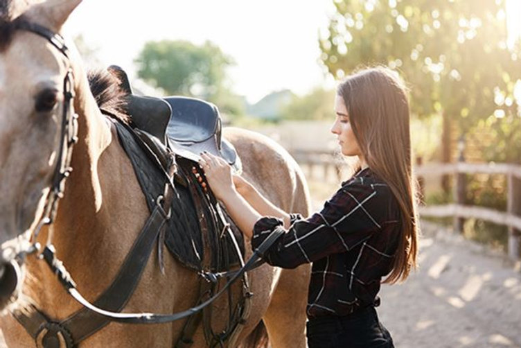 Difference Between English And Western