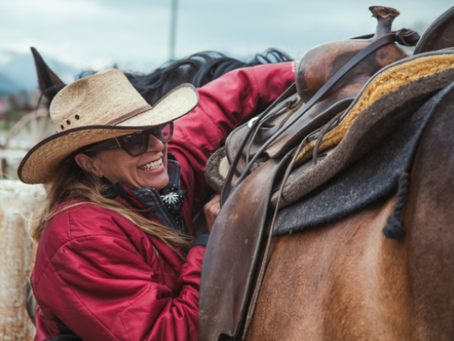 All About Horse Terminology