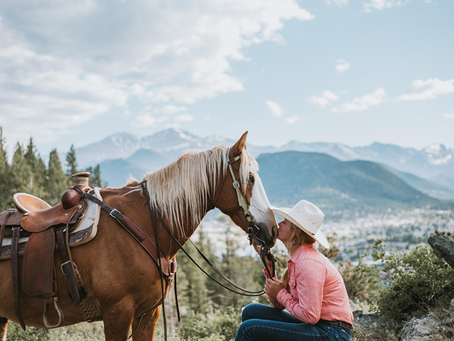 A Look at the Playful Side of Horses